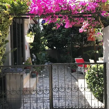 Merkez Bahceli Muestakil Ev Arya Roof House Villa
