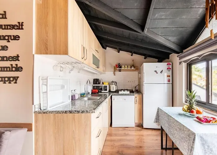 Merkez Bahçeli Müstakil Ev Arya Roof House Villa Marmaris