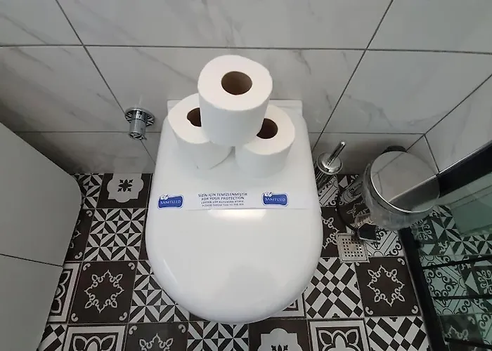 Merkez Bahçeli Müstakil Ev Arya Roof House