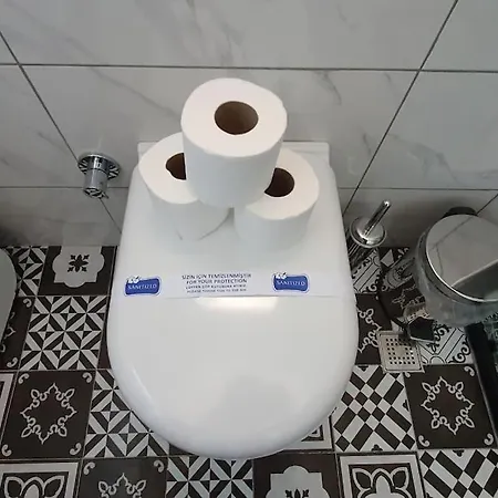 Merkez Bahçeli Müstakil Ev Arya Roof House