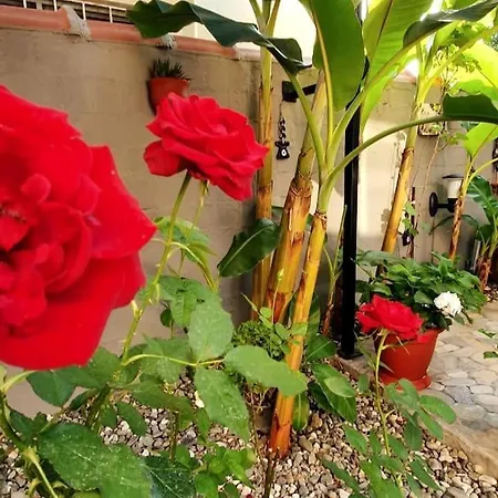 Arya Roof House * Мармарис