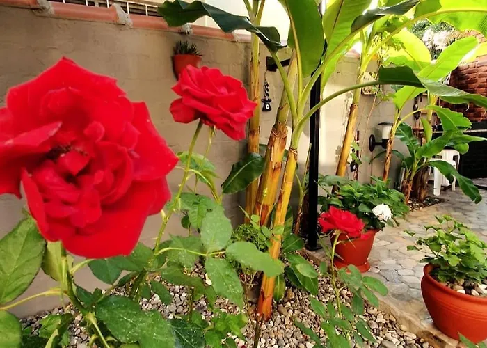 Merkez Bahceli Muestakil Ev Arya Roof House * מרמריס